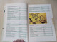 Chinese Science & Technology  BY CHAN YIN KIT  ASIAPAC BOOKS  Paperback (9789812296450)