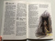 Slovak Children's Bible vol. 12 / Biblické dejiny v 365 príbehoch 12. / Zošit 12 (Pribehy 337-365) / MARY BATCHELOR / VYDAVATEĽSTVO OBZOR SLOVENSKÁ BIBLICKÁ SPOLOČNOSŤ 1994 / Paperback (8021502932)