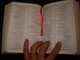 Urdu Bible / Black Genuine Leather with Zipper / 93P Series - 2008 - 33.8M