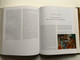 THE POLLAIUOLO BROTHERS - THE ARTS OF FLORENCE AND ROME / ALISON WRIGHT / Yale University Press, 2005 / Hardcover (9780300106251)
