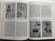 HISTORY OF ITALIAN RENAISSANCE ART / PAINTING, SCULPTURE, ARCHITECTURE / FREDERICK HARTT / Thames & Hudson Ltd, 1988 / Hardcover (9780500235102)