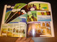 Stora Seriebibeln / The Lion Graphic Bible, Swedish Edition 2011 / Great for Swedish Youth