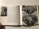 Byzantine Butterflies: The Folk Paintings of Peter and Helen Contis (ByzantineButterflies)
