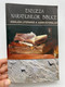 Exegeza Narațiunilor Biblice – Literary Analysis of the Book of Judges (9789738983847)