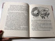 The Badger on the Stool by Békés Pál | Borz a sámlin (9789631190182)