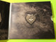 Tuohi Records: Erja Lyytinen – Stolen Hearts Autographed Blues CD (6417138644916)