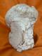 Soviet USSR State Manufacture Vintage Karl Marx Fragmentary Cast Bust Head (KarlMarxBust)