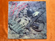 Melodiya "Let's Remember, Lads..." Kaskad VIA Soviet-Afghan War Songs Vinyl Record (С90 26229 000)