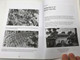 Lieutenant Adnan and The Last Regiment  Illustrated by Zaki Ragman  Written by Danny Jalil  History of Singapore 1942 Japanese Invasion  The Battle of Bukit Chandu (9789812297020)