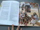 Slovak - Romani Childrens Bible Bilingual / With God on the Road Regina Schindlerova 