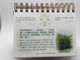 Streams in the desert  荒漠甘泉  / 考門夫人 Mrs. Lettie Cowman / Chinese - English Bilingual Christian Timeless Devotional Calendar 