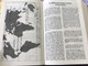 French Bible / La Bible Ancien et Nouveau Testament / Traduit du grec et de l'hébreu en français courant / 1995 Print FC053 Size