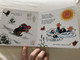 A kisvakond tudja már / Krtek the Little Mole Understands Now (9789631183054)