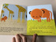 Szása, a szibériai kistigris - Vajda Éva / Nagy Diána rajzaival / SZÍNES LAPOZÓ / HUNGARIAN EDITION COLORFUL BOARDBOOK FOR CHILDREN (9789631196887)