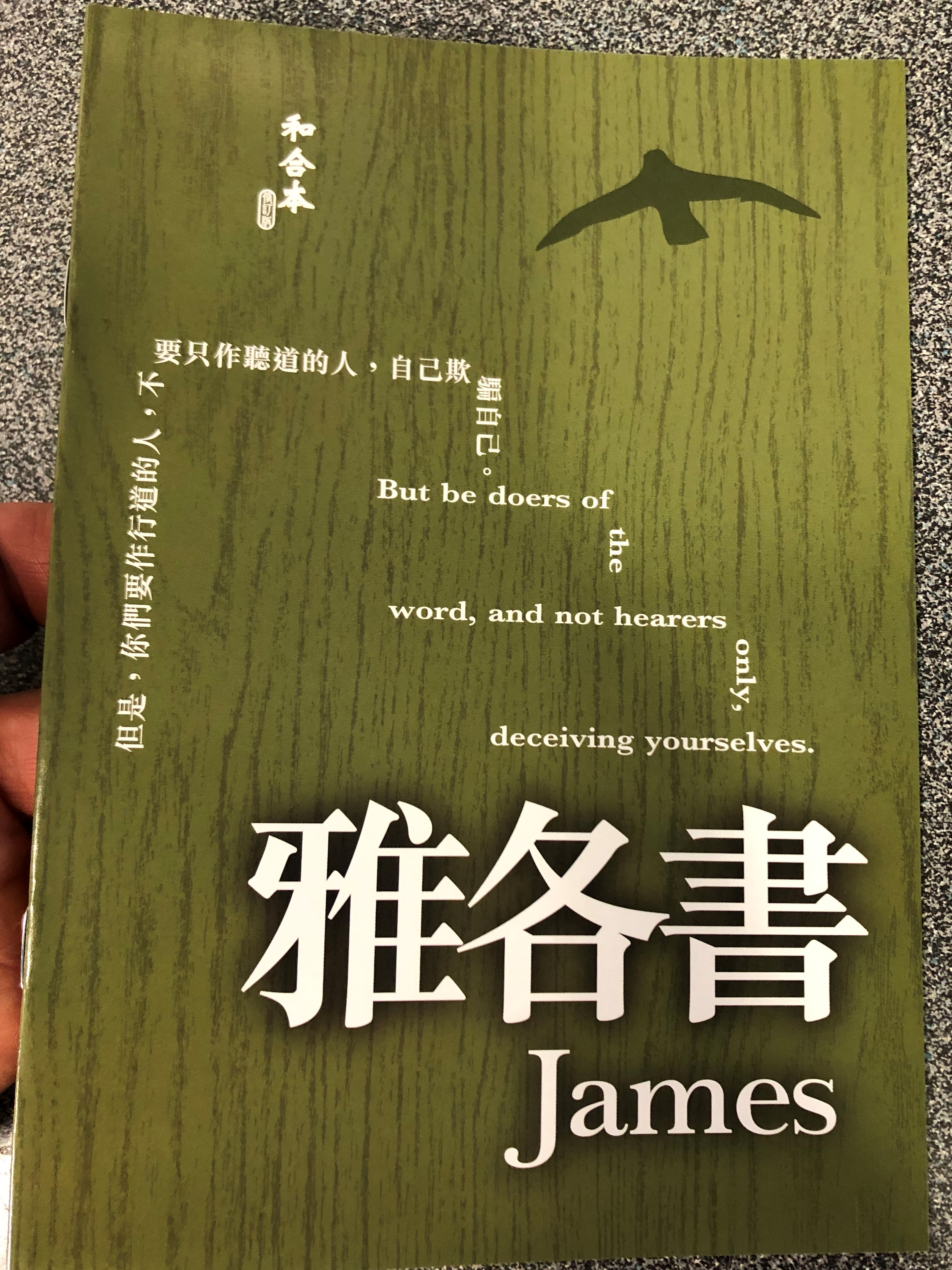 the-letter-of-james-in-chinese-language-super-large-print-edition-1-.jpg