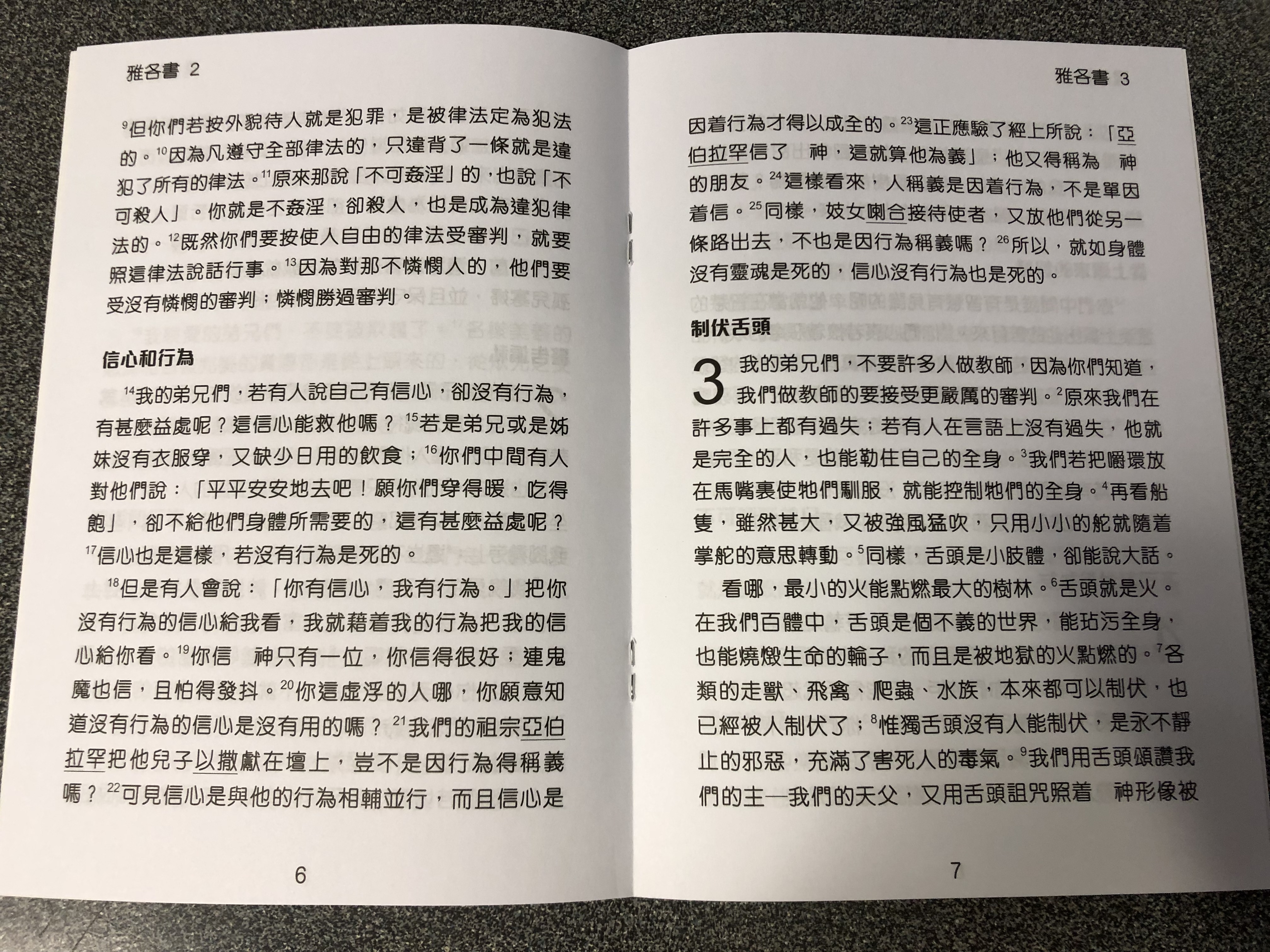 the-letter-of-james-in-chinese-language-super-large-print-edition-2-.jpg