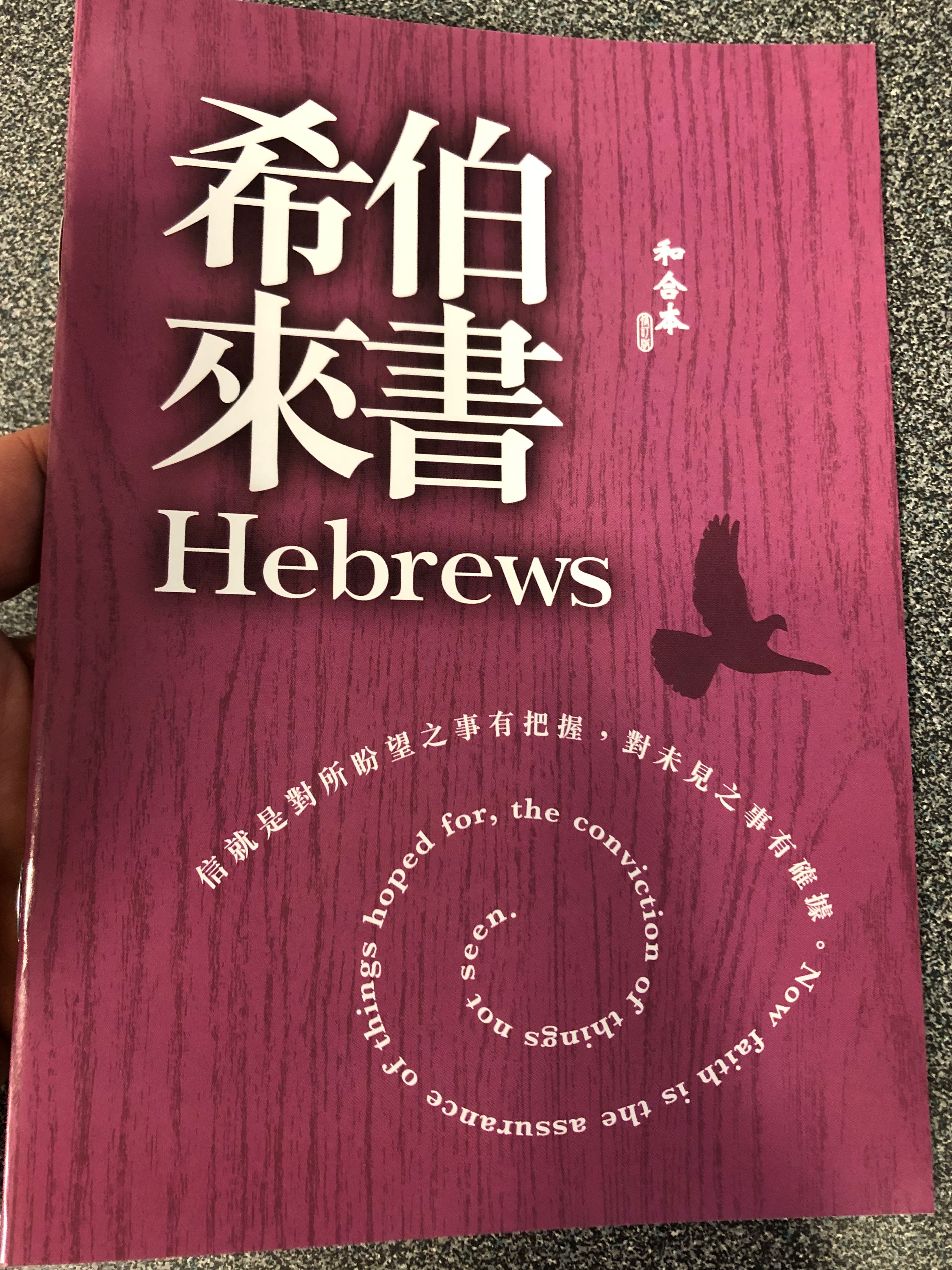 the-letter-to-the-hebrews-in-chinese-language-super-large-print-edition-1-.jpg