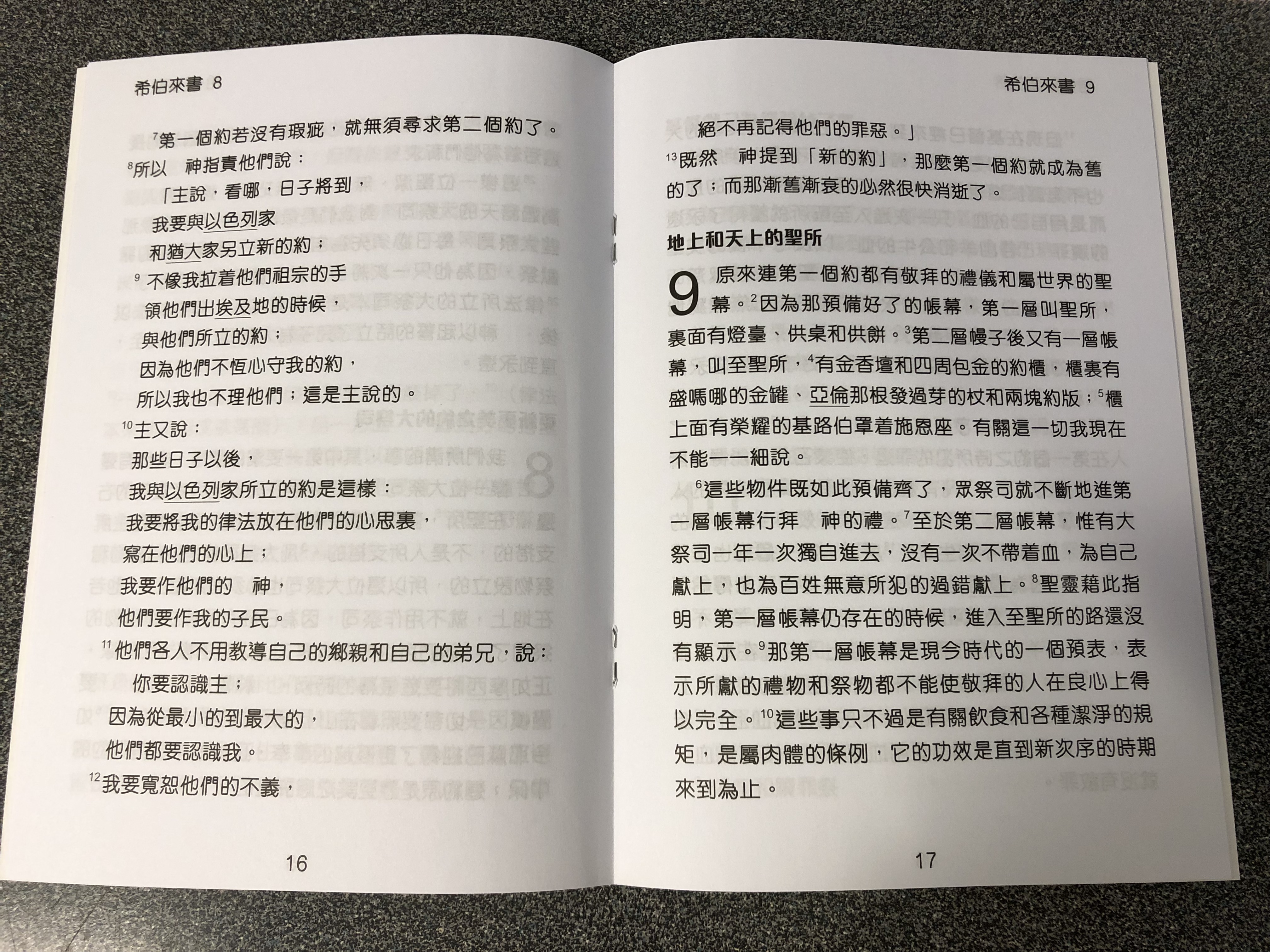 the-letter-to-the-hebrews-in-chinese-language-super-large-print-edition-2-.jpg