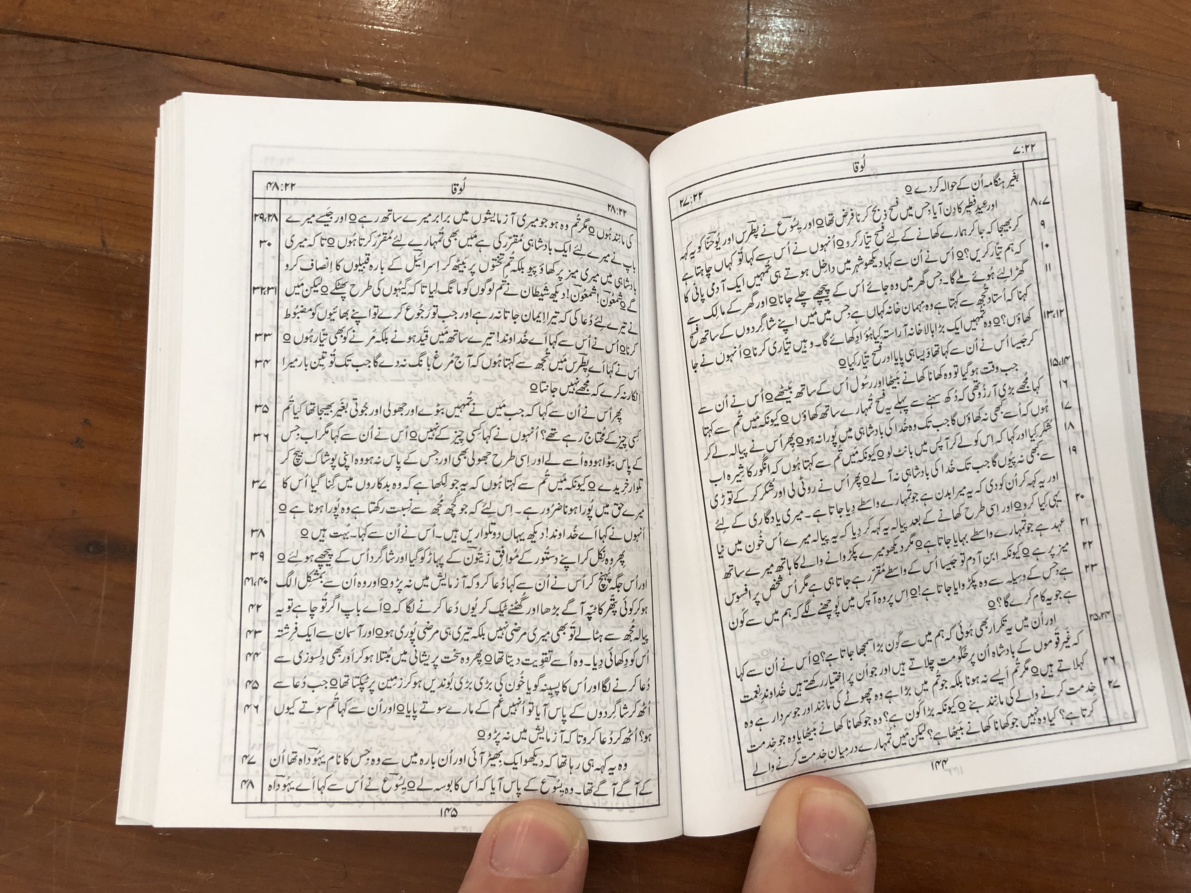 urdu-new-testament-pocket-size-vinyl-bound-pakistan-bible-society-2014-6-.jpg