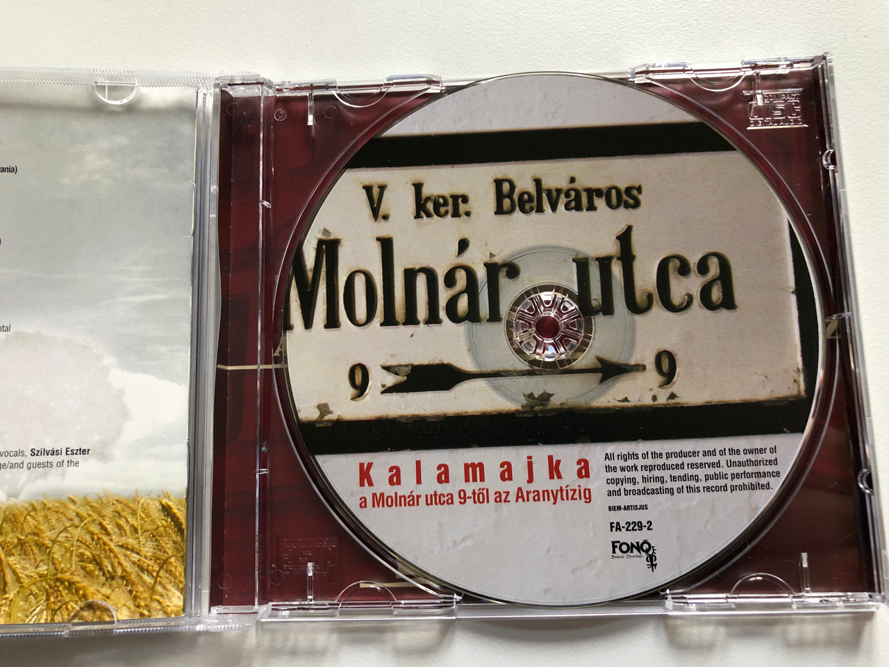 https://cdn11.bigcommerce.com/s-62bdpkt7pb/products/0/images/322870/Kalamajka_A_Molnr_Utca_9-tl_Az_Aranytzig_Hungarian_Folk_Music_Fon_Records_Audio_CD_2005_FA-229-2_3__15697.1706689895.1280.1280.JPG?c=2