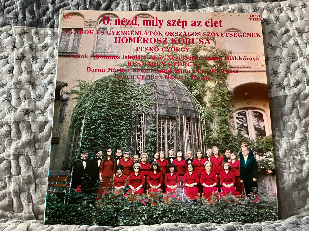https://cdn11.bigcommerce.com/s-62bdpkt7pb/products/0/images/338100/_Nzd_Mily_Szp_Az_let_-_A_Vakok_s_Gyengnltk_Orszgos_Szvetsgnek_Homrosz_Krusa_Pesk_Gyrgy_A_Vakok_ltalnos_Iskoljnak_s_Nevelotthonnak_Dikkrusa_Ksmrky_Gyrgy_Barna_1__84317.1719210873.1280.1280.jpg?c=2