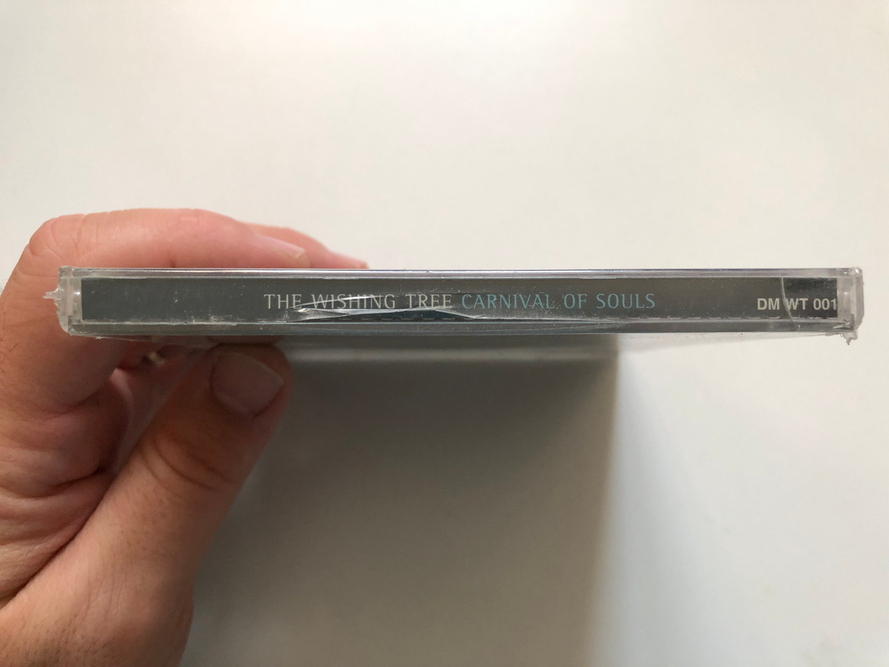 https://cdn11.bigcommerce.com/s-62bdpkt7pb/products/0/images/347115/The_Wishing_Tree_Carnival_Of_Souls_Dorian_Music_Audio_CD_1996_DM_WT_001_3__40979.1724839111.1280.1280.JPG?c=2