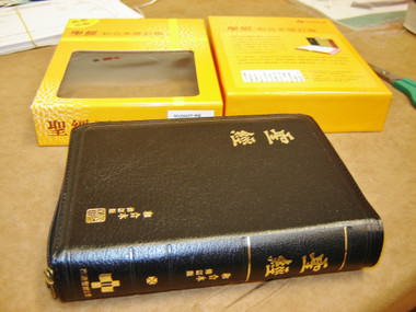 The Holy Bible - Revised Chinese Union Version (Shen Edition)