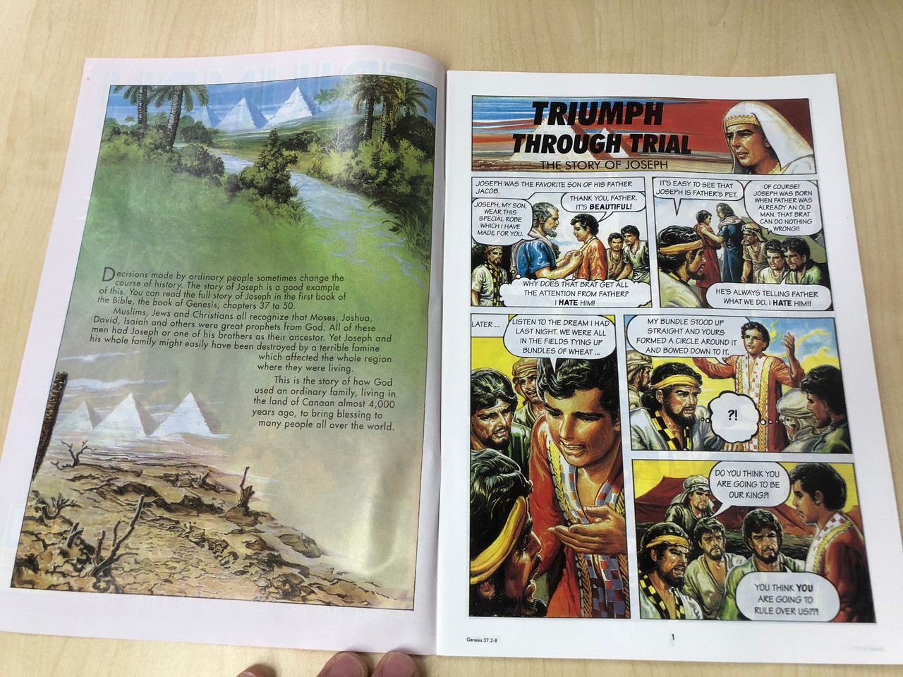 https://cdn11.bigcommerce.com/s-62bdpkt7pb/products/3010/images/364881/Triumph_Through_Trial_-_The_Story_of_Joseph_-_English_Edition_2__12994.1735486989.1280.1280.JPG?c=2