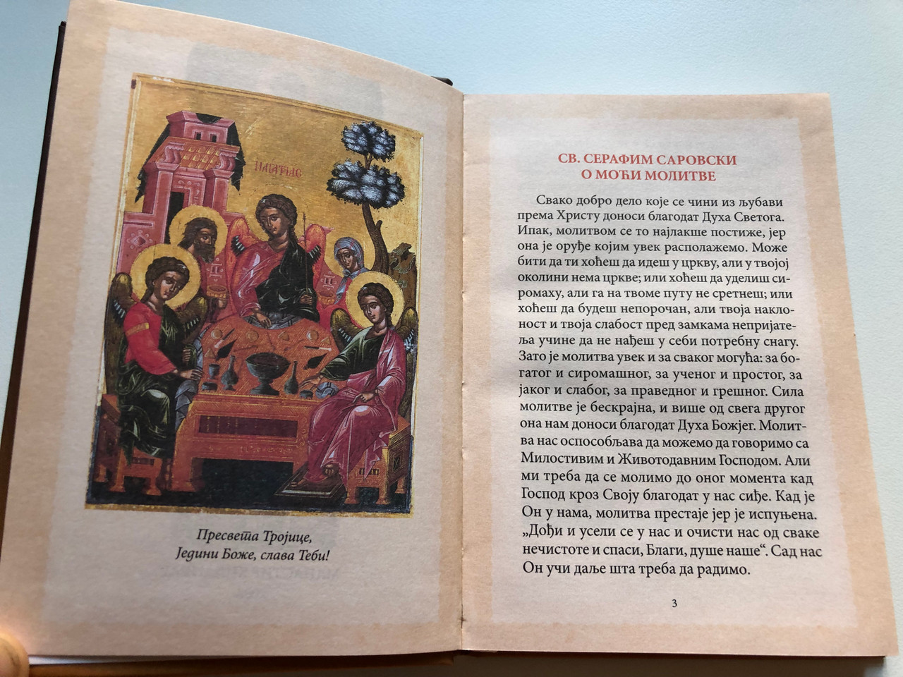 IMG_6817__25333.1737002869.1280.1280.JPG (1280×960)