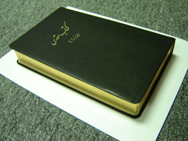 Farsi Persian Bible - Modern Iranian New Millennium Version