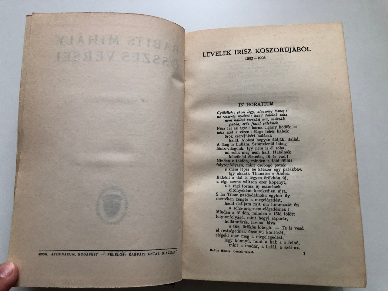 IMG_9978__45037.1727929497.1280.1280.JPG (1280×960)