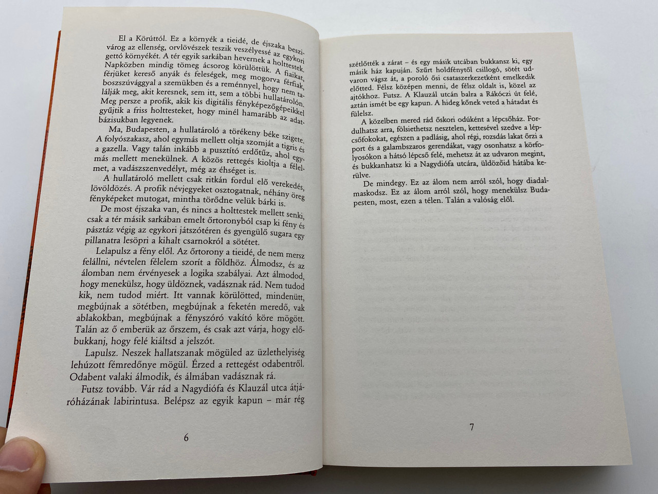 IMG_0904__84433.1729144077.1280.1280.jpg (1280×960)