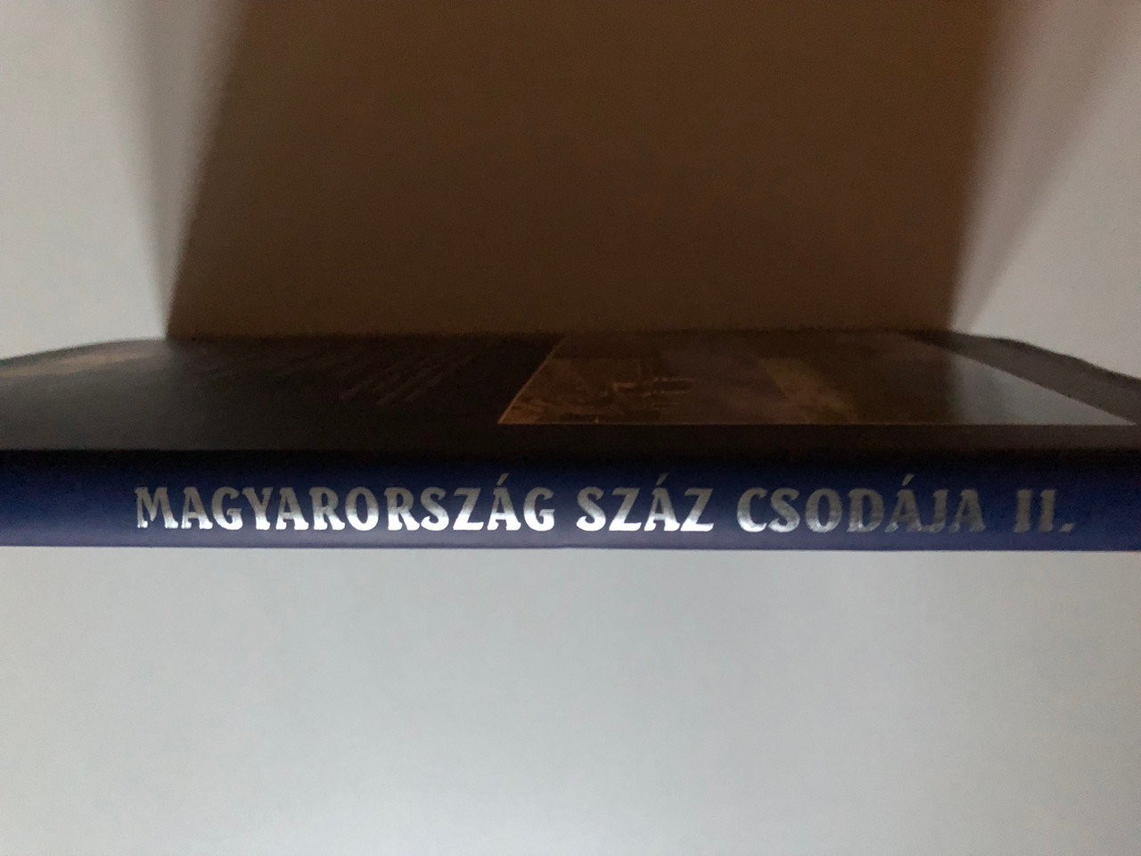 IMG_3390__44478.1732012723.1280.1280.JPG (1280×960)