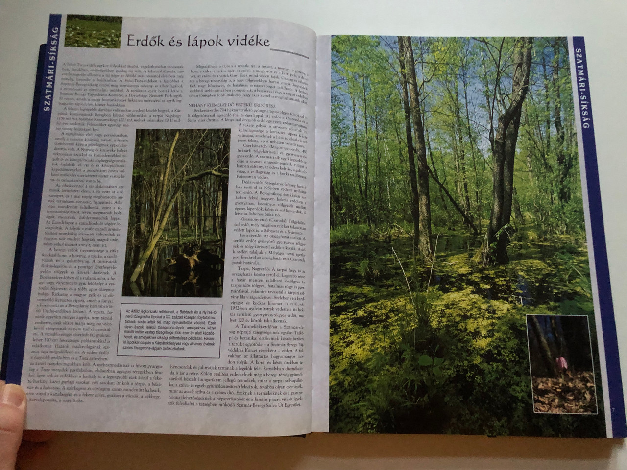 IMG_3394__36202.1732012759.1280.1280.JPG (1280×960)