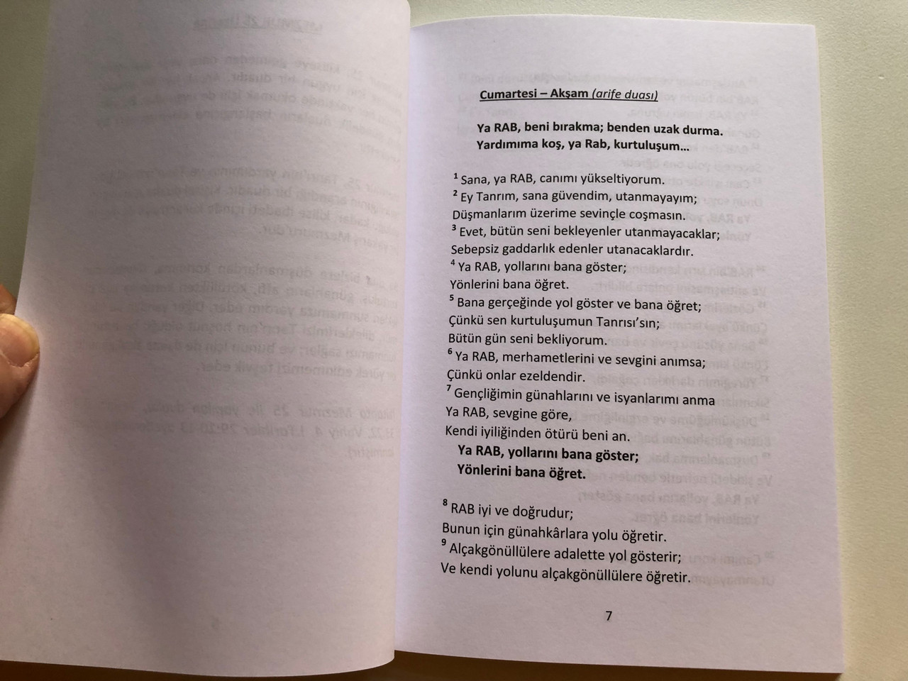 IMG_3599__54393.1732015858.1280.1280.JPG (1280×960)