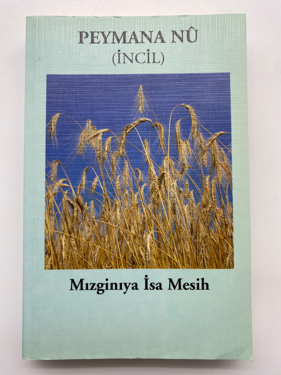 IMG_5659__79314.1733829885.1280.1280.jpg (960×1280)