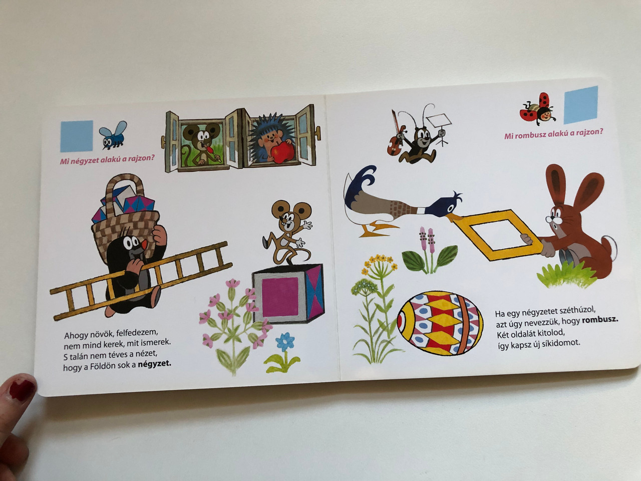 IMG_4050__72269.1735795871.1280.1280.JPG (1280×960)