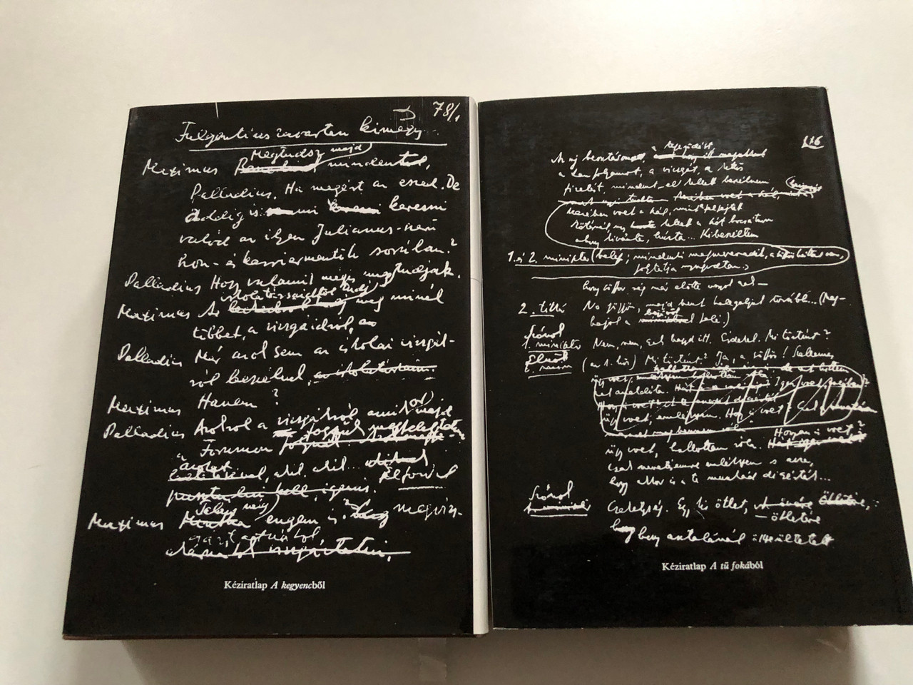 IMG_9162__79165.1741335809.1280.1280.JPG (1280×960)