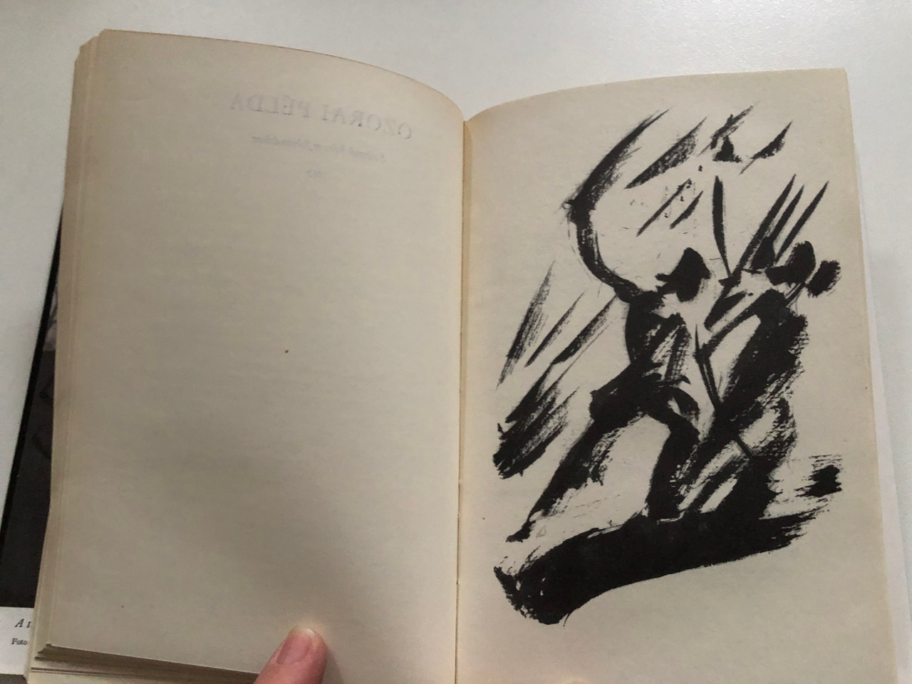 IMG_9168__51562.1741335856.1280.1280.JPG (1280×960)