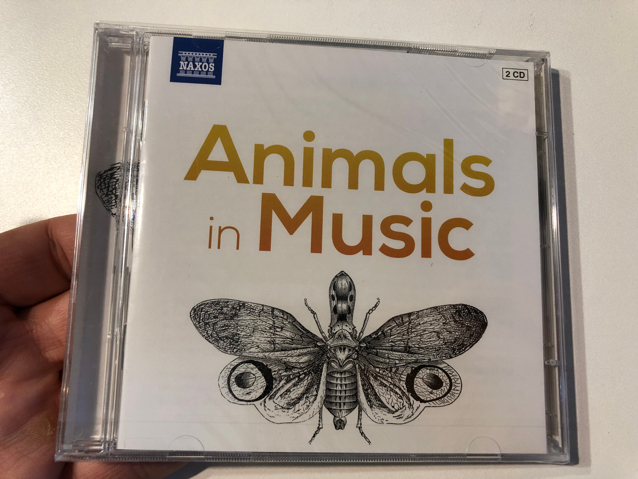 IMG_2784__71621.1745556069.1280.1280.JPG (1280×960)