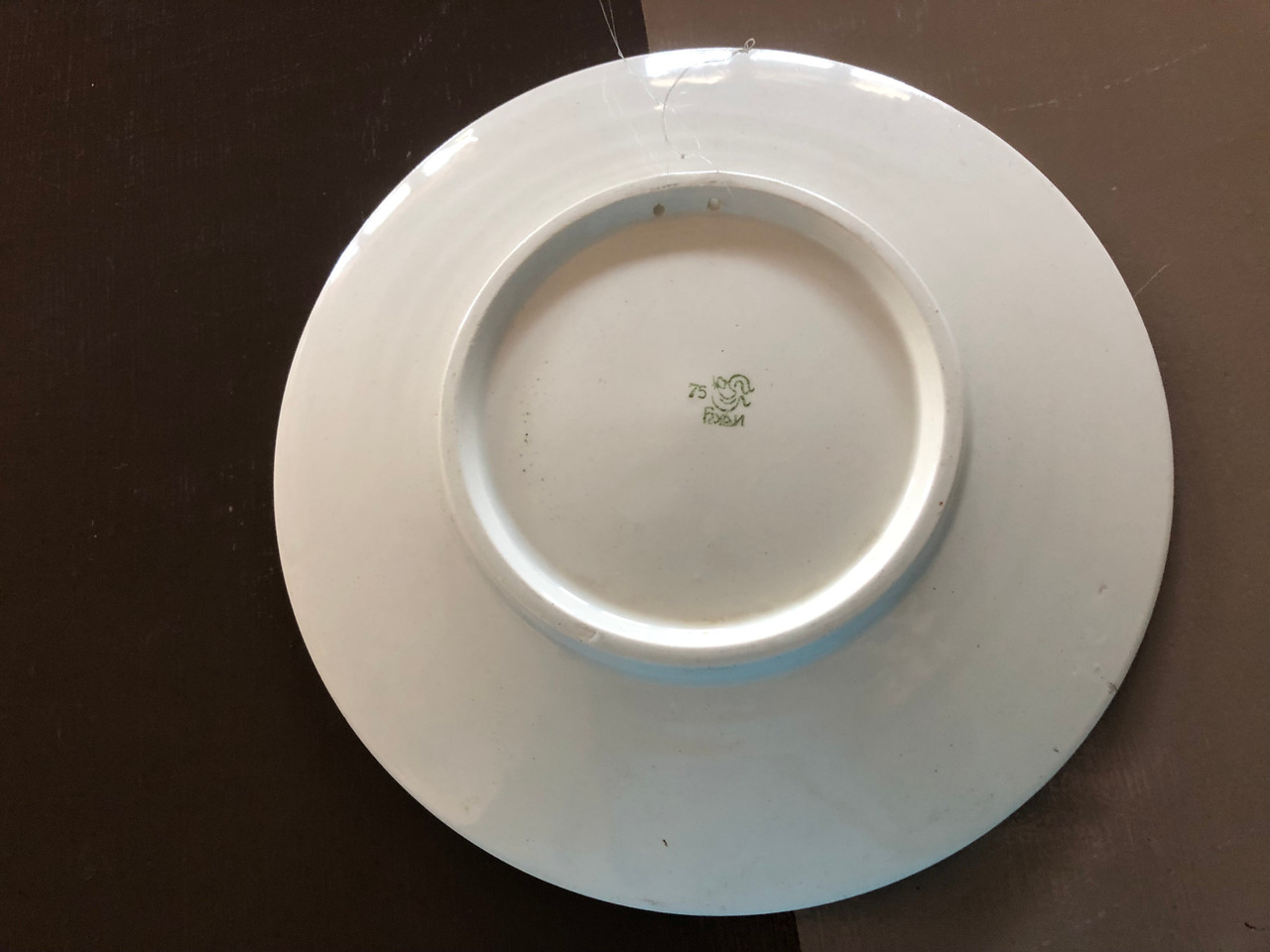 IMG_0871__46579.1758037016.1280.1280.JPG (1280×960)