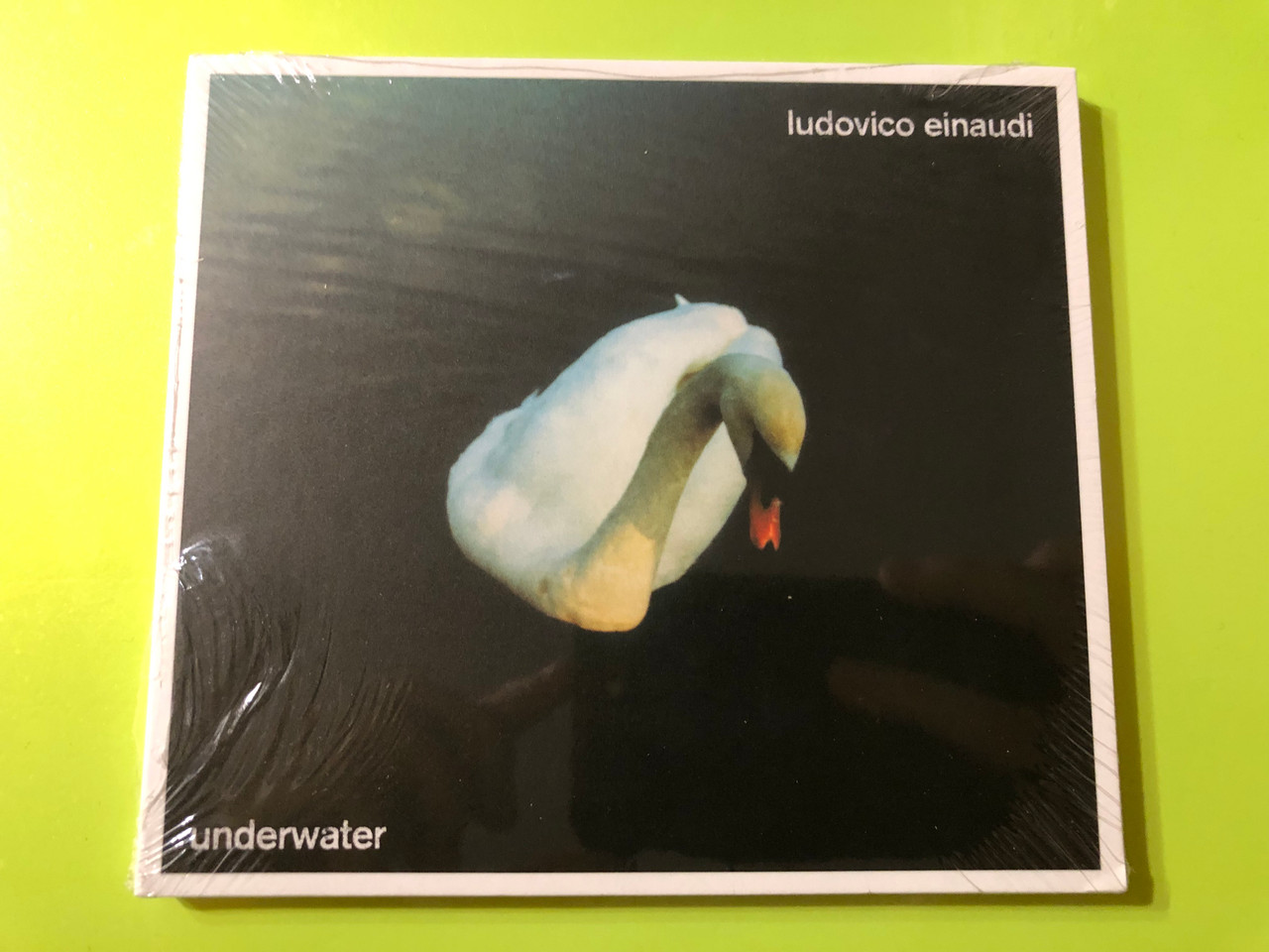 IMG_1649__35616.1758782073.1280.1280.JPG (1280×960)