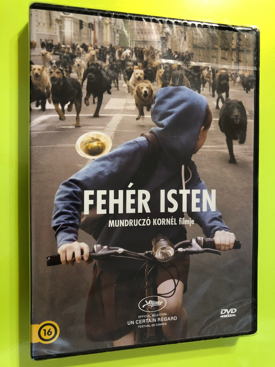 IMG_1810__59030.1758942344.1280.1280.JPG (960×1280)