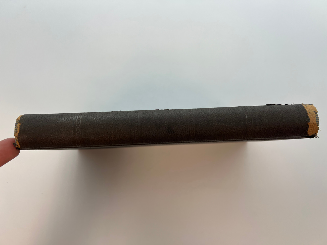 IMG_9684__98979.1759744891.1280.1280.JPG (1280×960)