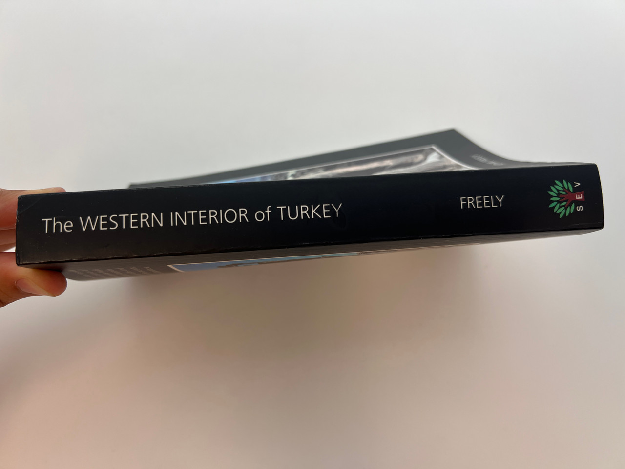 IMG_9735__73260.1759746819.1280.1280.JPG (1280×960)