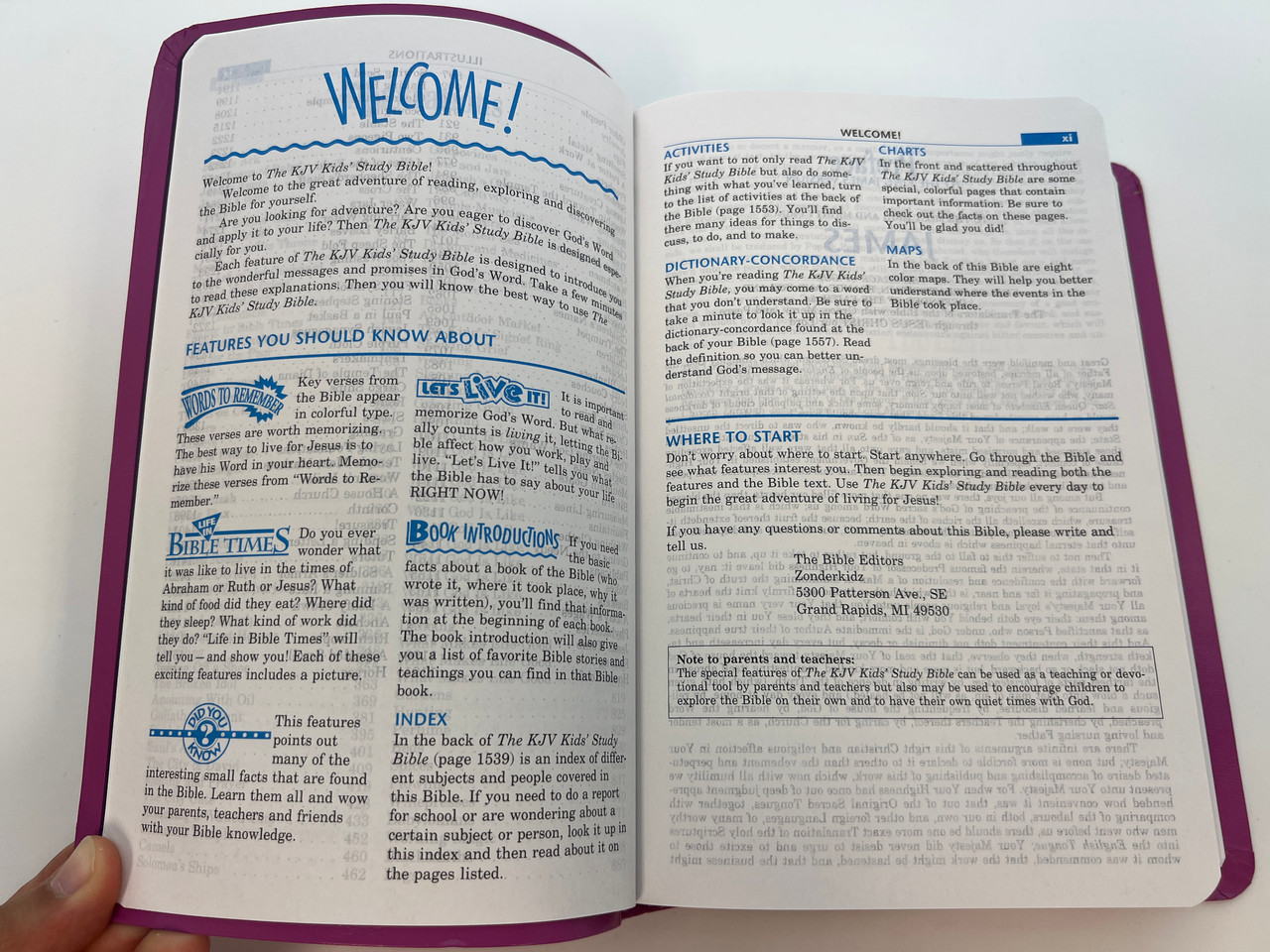 IMG_9750__52107.1759747813.1280.1280.JPG (1280×960)