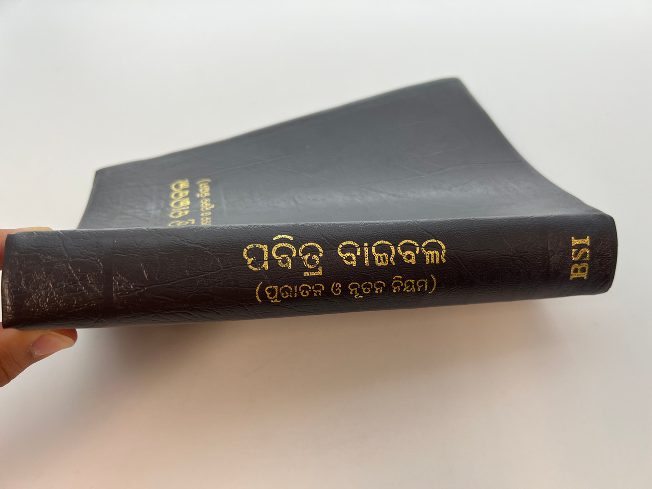 IMG_9961__13728.1759755002.1280.1280.JPG (1280×960)