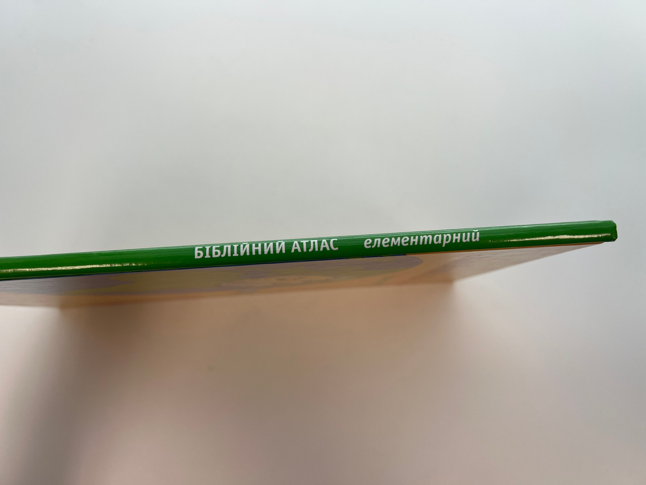 IMG_0494__65642.1759807026.1280.1280.jpg (1280×960)