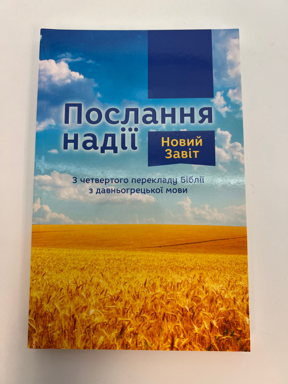 IMG_0784__85310.1759849950.1280.1280.jpg (960×1280)