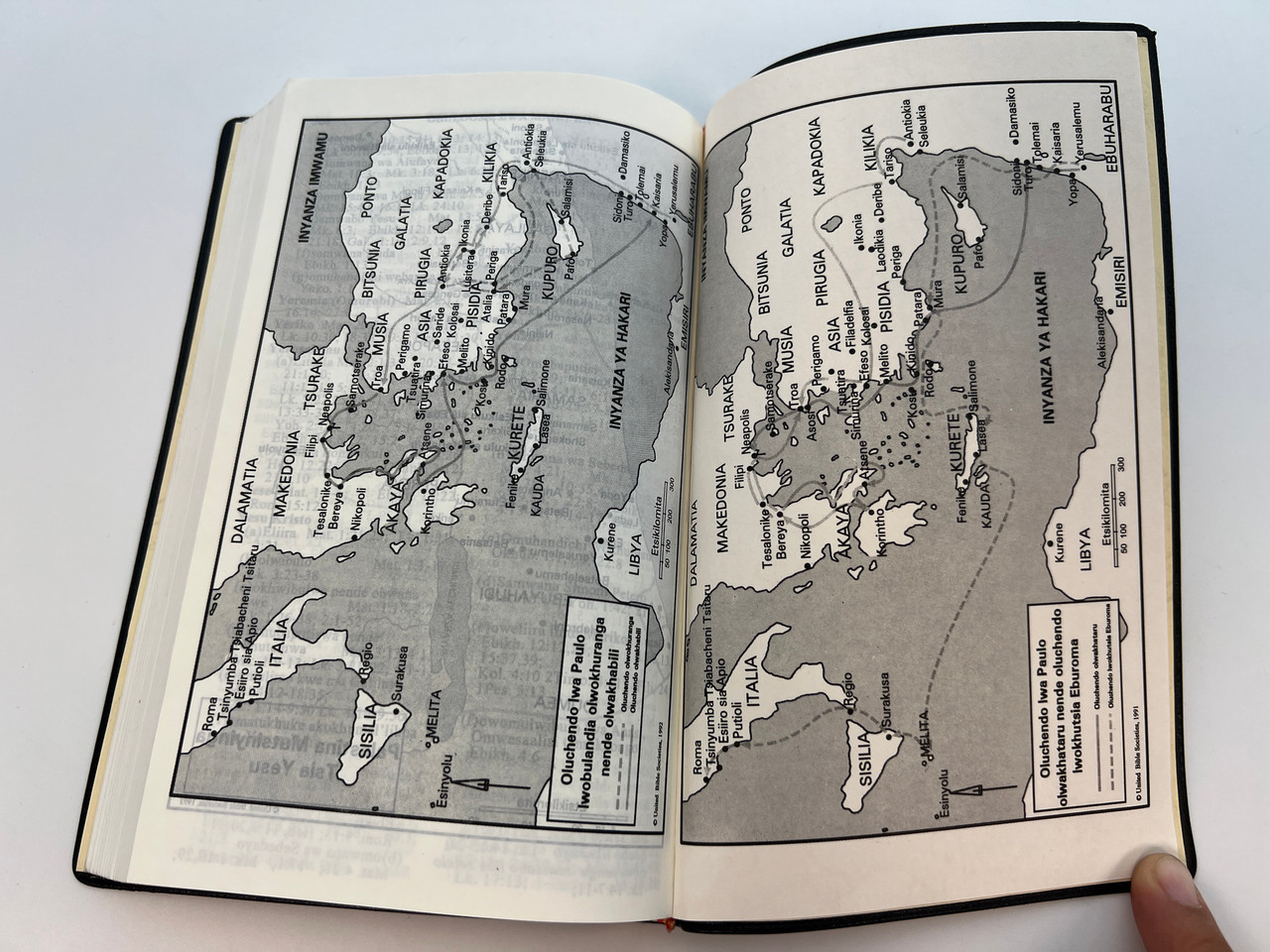 IMG_0866__00282.1759854232.1280.1280.jpg (1280×960)